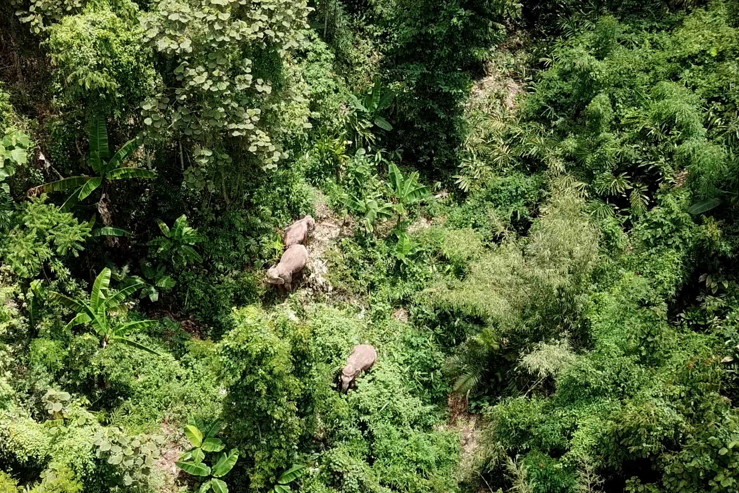 habitat